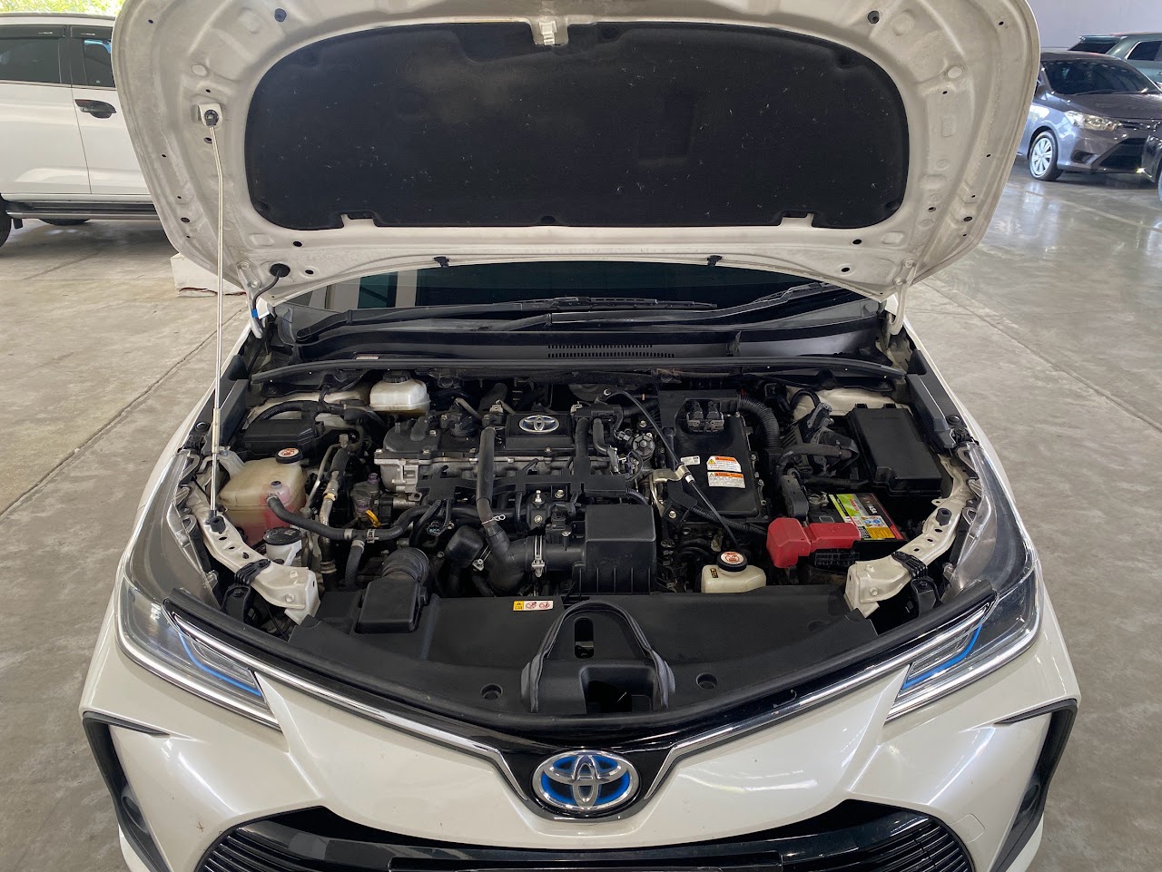 2019 Toyota Altis (New) 1.8Hybrid MID รูปที่ 12
